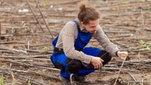 Danni da calamità in agricoltura: come provarli e quantificarli