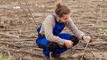 Danni da calamità in agricoltura: come provarli e quantificarli