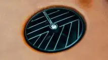 36