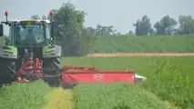 Fendt 313 Vario Profi: TEST CLASSIC