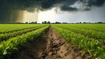  ISA 2025 agricoltori: affidabilità fiscale e rischio evasione