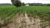 Aggiornare il calendario irriguo del mais al nuovo regime di eventi estremi per adeguare turni, priorità e decisioni aziendali alle condizioni meteo locali
