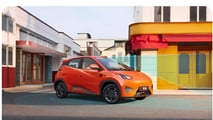 BYD Dolphin Mini (Seagull) 2026