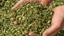 Progettazione silo: cubatura, umidità foraggi e compressione per conservare al meglio trinciati e insilati in trincea