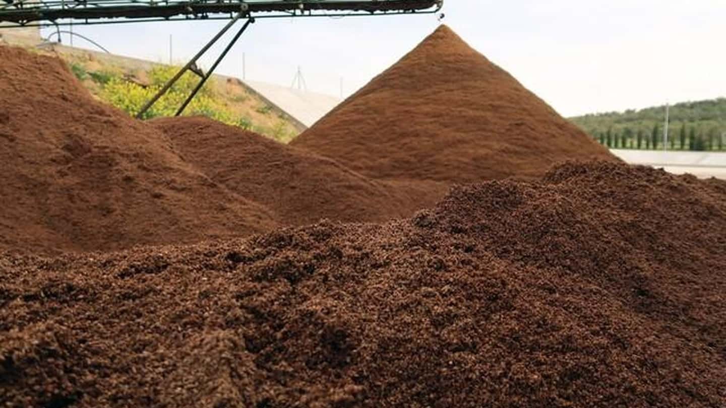Olivicoltura e agribusiness energetico dagli scarti di frantoio