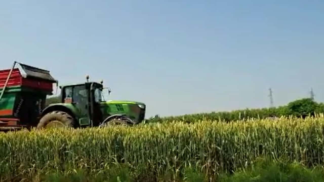 Contributi INAIL agricoltura: sconto di quasi 5 punti