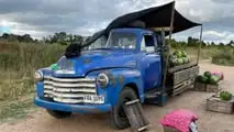 Chevrolet 1950, um antepassado ainda na batalha