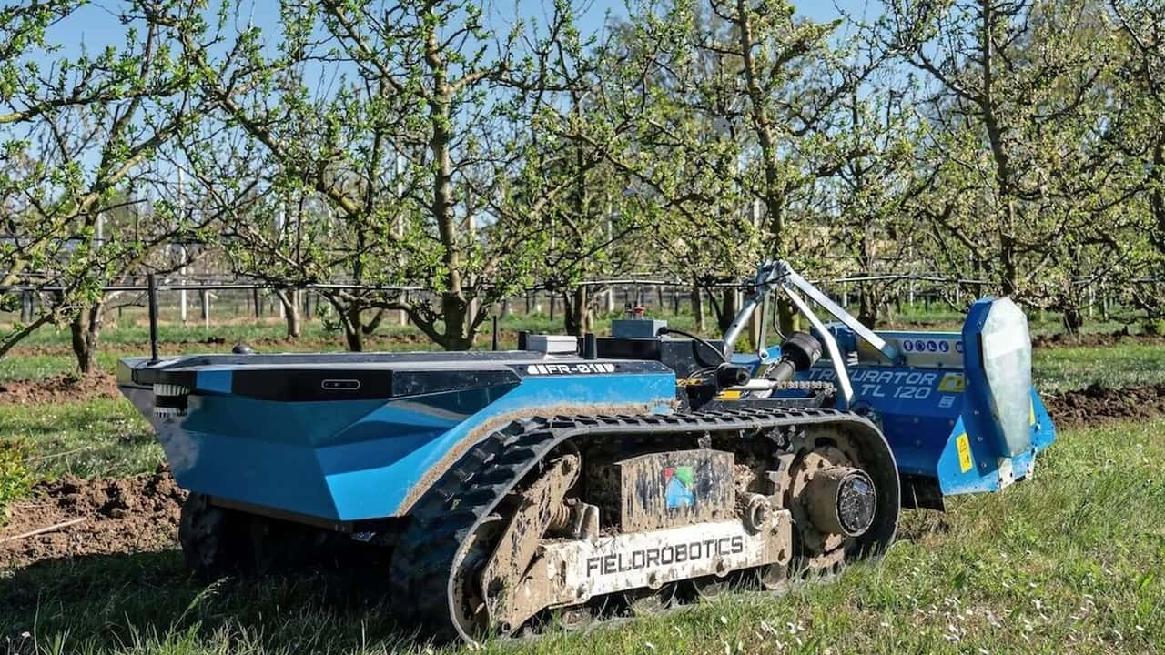 Fieldrobotics: Hammerhead, il robor per vigneto a Enovitis in Campo 2024