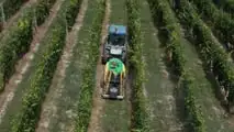 Attrezzature da vigneto e frutteto TOP per il 2024