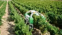 12Steps: la protezione robotica delle colture in Italia