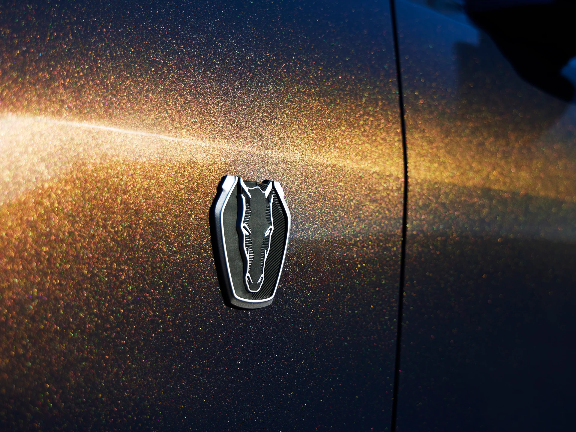 Ford's New Sports Car Is The Most 'Track-Capable Dark Horse Ever'