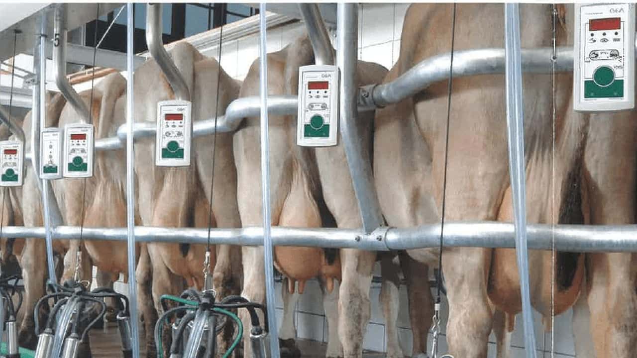 Latte: accordo sul prezzo per il trimestre