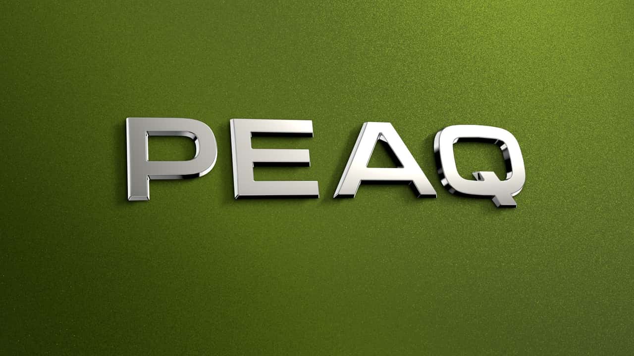 Skoda Peaq