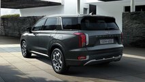 Hyundai Palisade Calligraphy / VIP