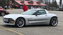Short Vette
