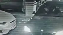 Tesla Model X Shot With Handgun