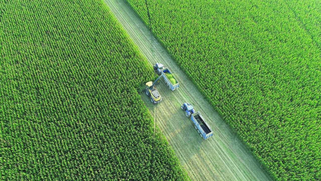 NEW HOLLAND FR920 e KEMPER 490+