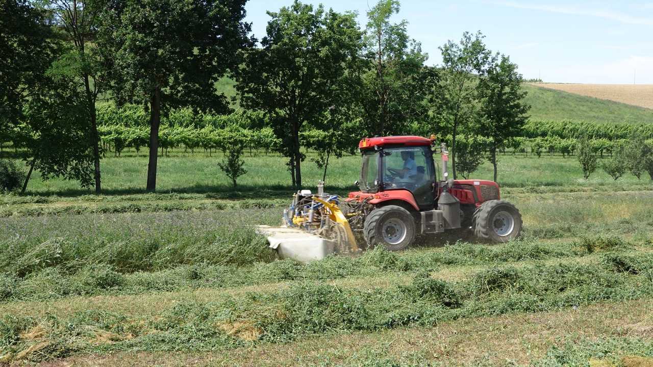 BM BETTER 180 & GEMELLI 470 FPC