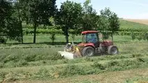 BM BETTER 180 & GEMELLI 470 FPC