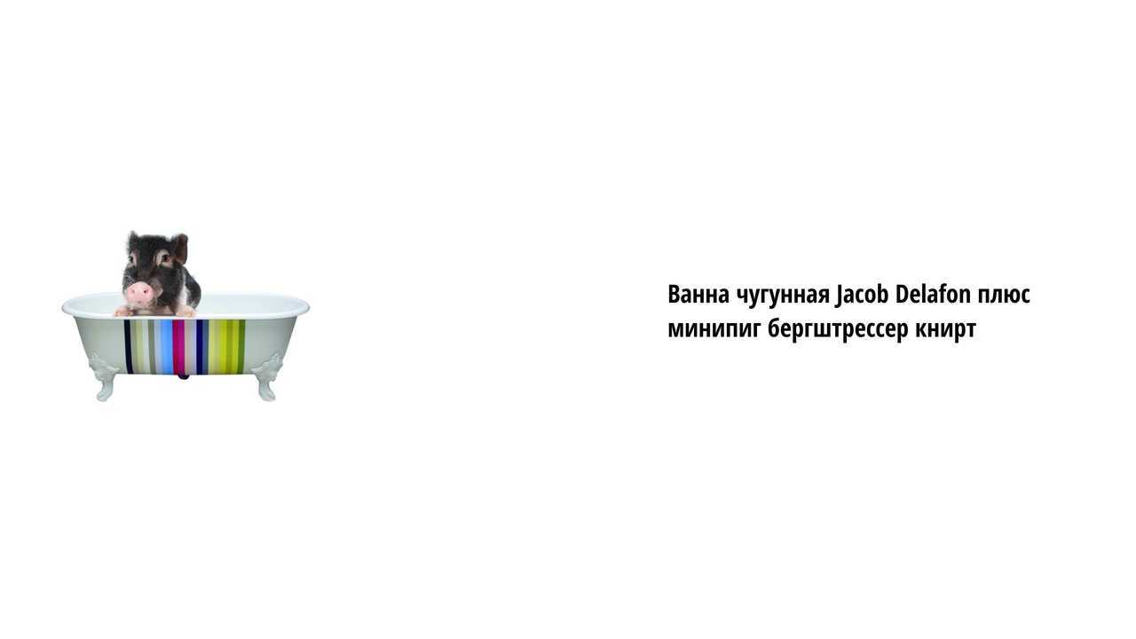 Lada Granta и минипиг