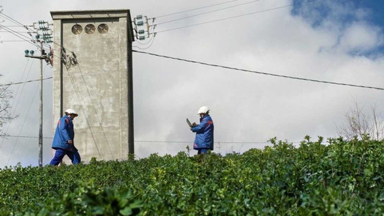 Rincari elettricità: rincari per gli agricoltori