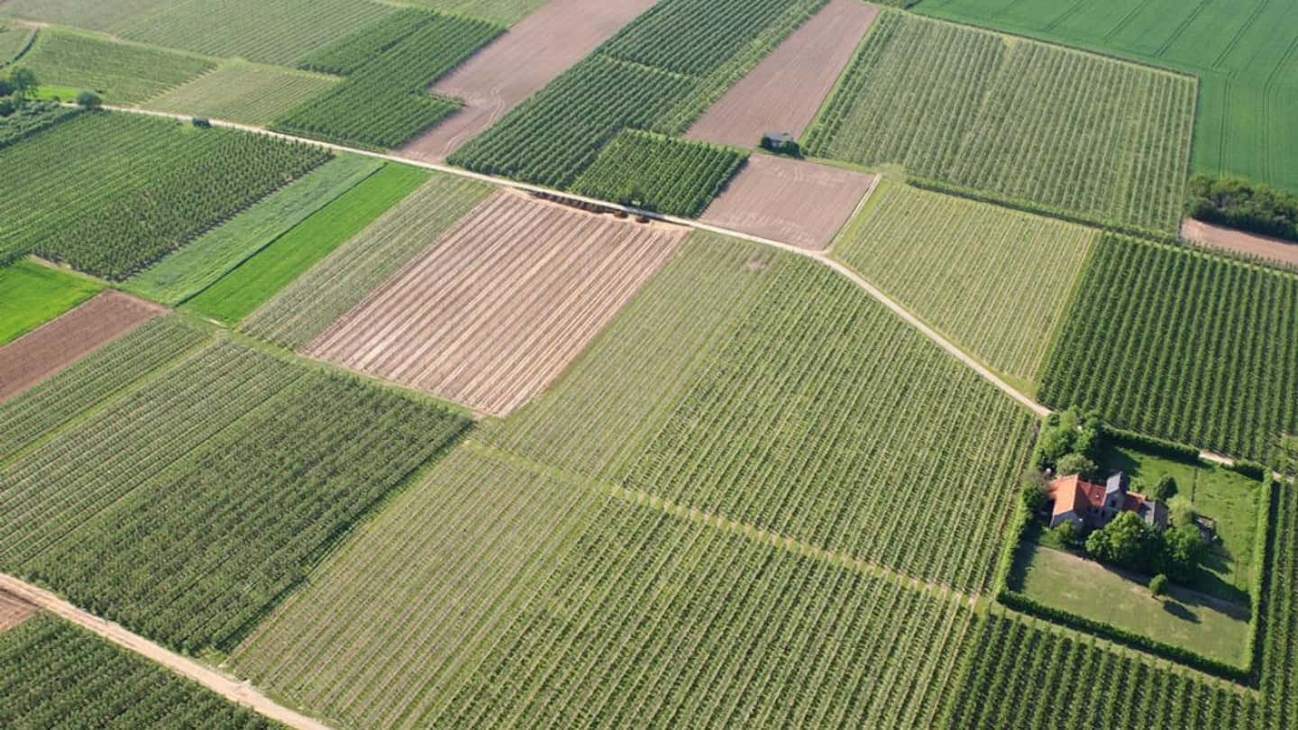 Pac 2028 e Fondo unico: cosa cambia per le aziende agricole