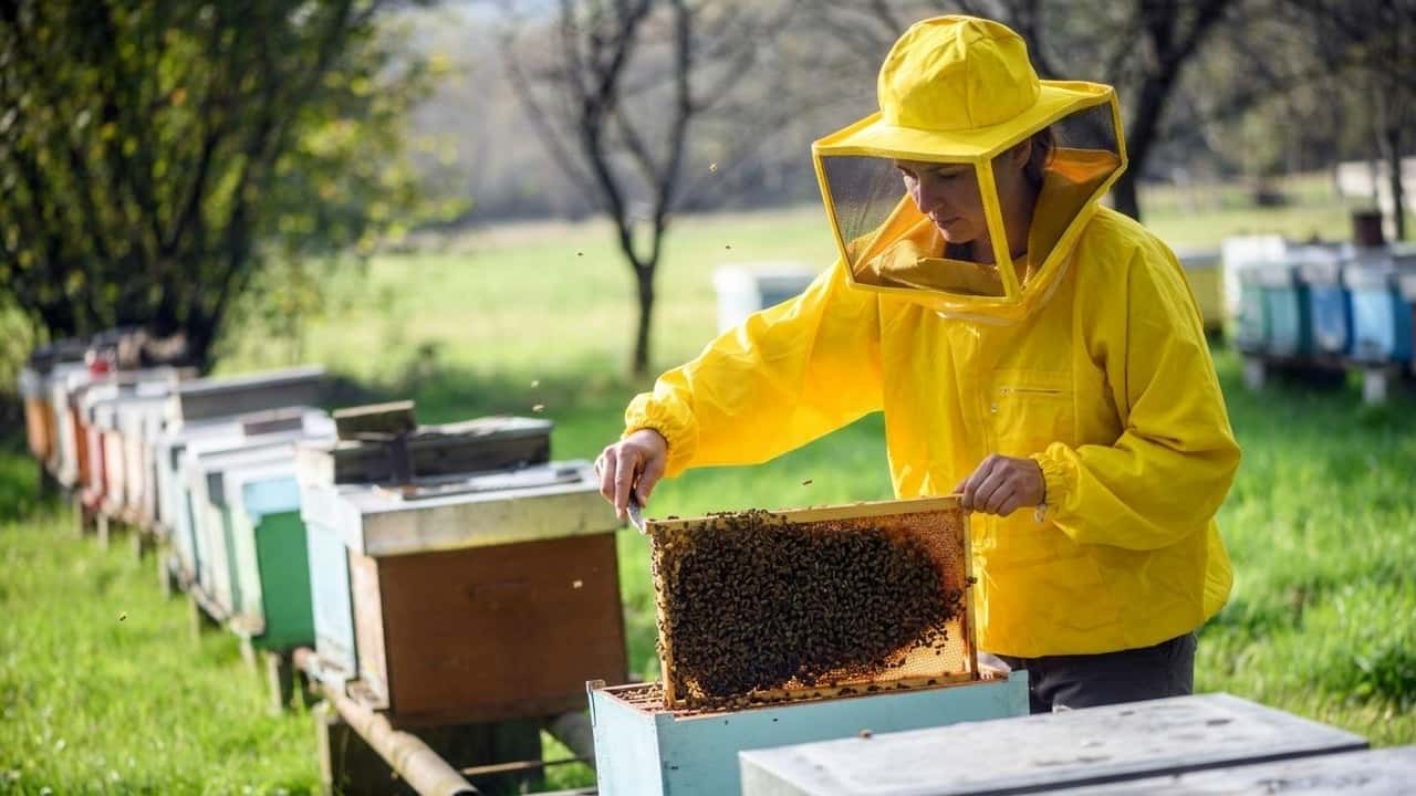 rivoluzione-pac-chiesti-aiuti-accoppiati-per-le-api