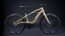 Serial 1 BASH/MTB
