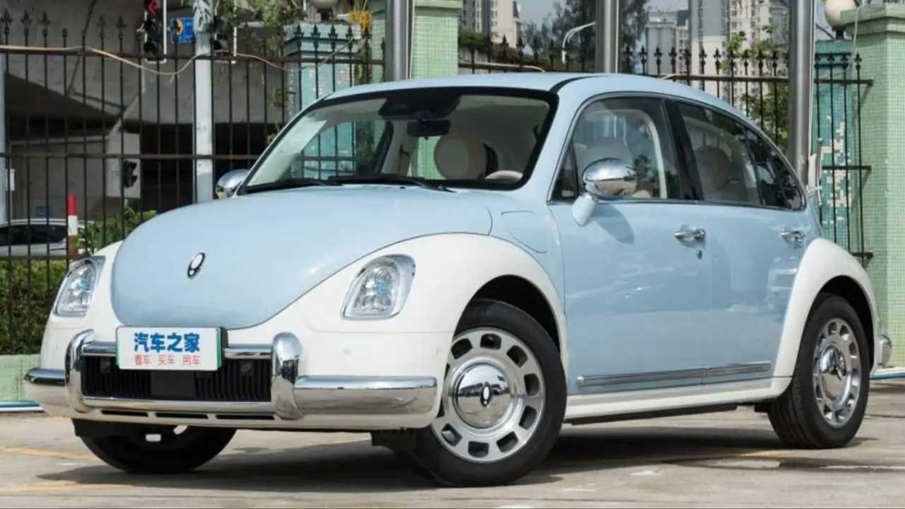 beetle_chino