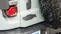 Prueba Ford Bronco Raptor