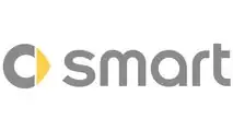 Logo smart