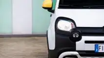 Fiat Panda Pandina