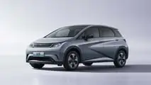 BYD Dolphin 17
