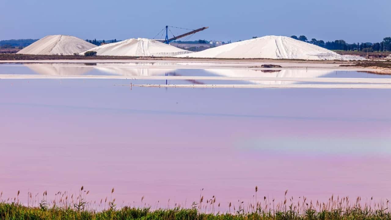 Saline: diventano attività agricole?
