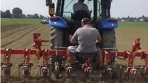 Pomodoro da industria sostenibile: irrigazione, suolo e meccanizzazione
