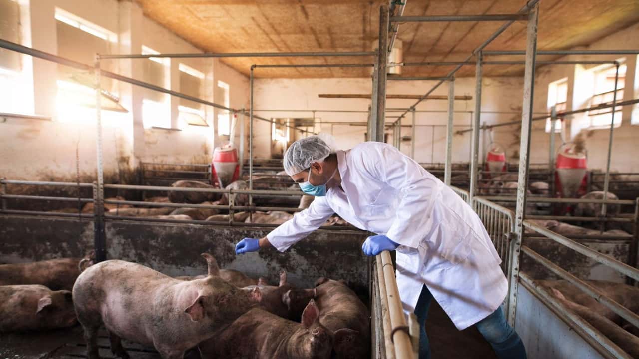 Abbattimenti in azienda: come restare nel perimetro legale