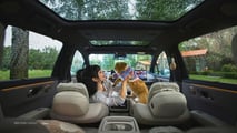 Li Auto i6
