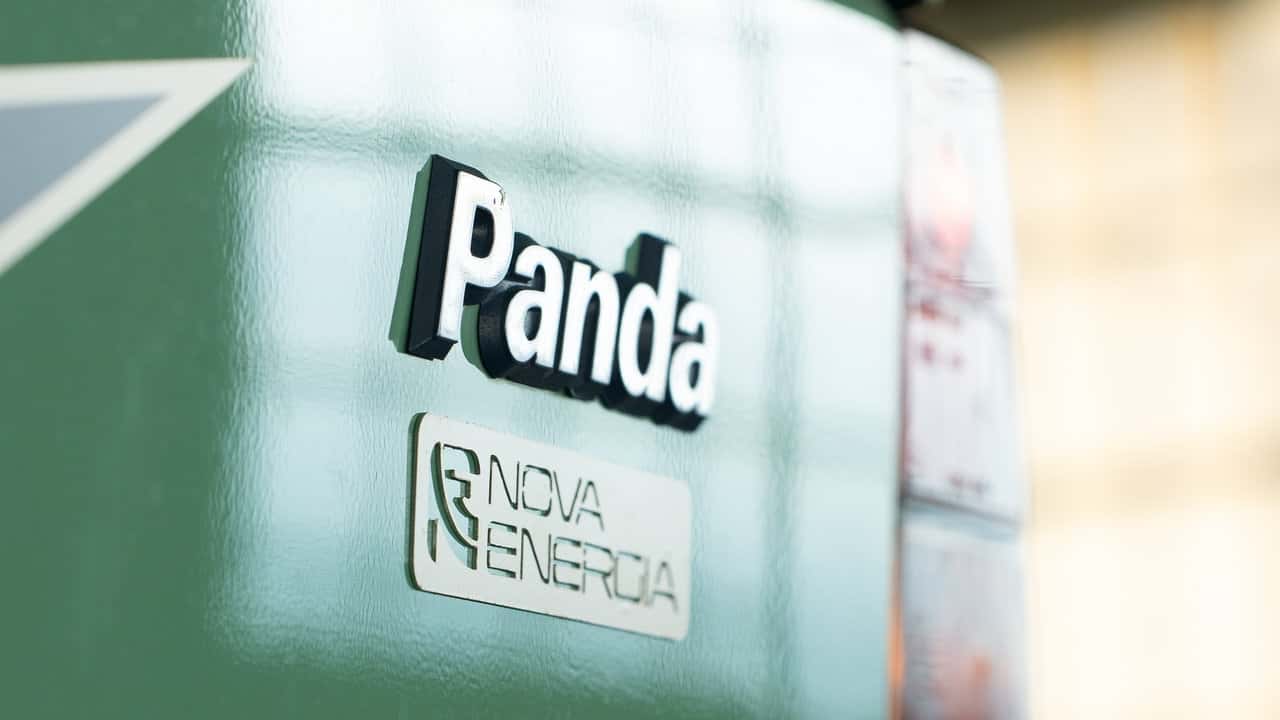 Panda NE