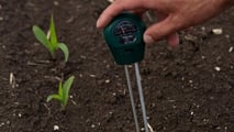 Aggiornare il calendario irriguo del mais al nuovo regime di eventi estremi per adeguare turni, priorità e decisioni aziendali alle condizioni meteo locali
