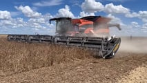 Tribine T1000: mietitrebbia con cassone da 35.000 litri