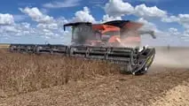 Tribine T1000: mietitrebbia con cassone da 35.000 litri