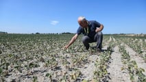 Clima estremo e cooperative: il rischio di perdere la mutualità prevalente con più tasse e adempimenti. Cosa dice la legge oggi