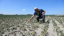 Clima estremo e cooperative: il rischio di perdere la mutualità prevalente con più tasse e adempimenti. Cosa dice la legge oggi