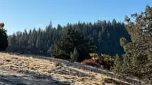 Oregon is beautiful. 