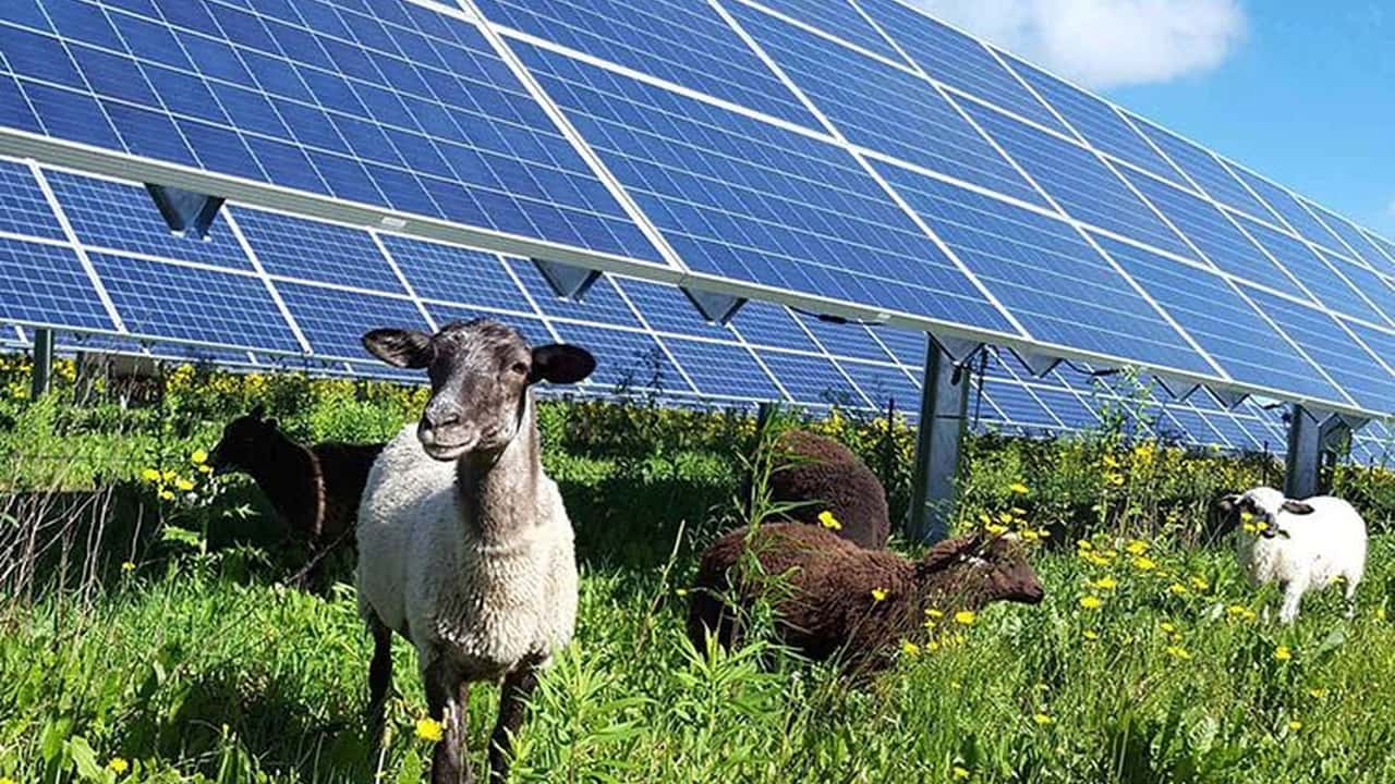 Lombardia: via libera agli impianti agrivoltaici (20mila ettari per 12 GW entro il 2030)