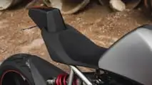 2009 Magpul Ronin - Saddle and Tail Closeup