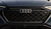 Calandre extérieure de l'Audi Q8 E-Tron 2024