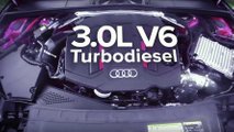 Audi RS5, RS3, S4 ve Eski Bir RS4 Drag Yarışında