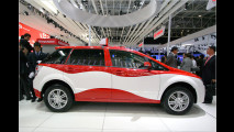 BYD E6