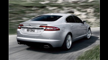 Jaguar: Neue Einsteiger